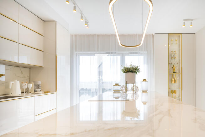 Penthouse 137 mkw z widokiem na Park i Katedrę