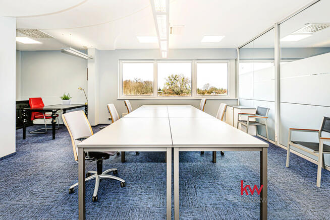 Lokal użytkowy Poznań gm. Poznań-Jeżyce Jeżyce, Polska