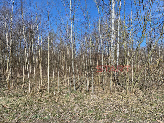 Działka budowlana Adamowizna gm. Grodzisk Mazowiecki,