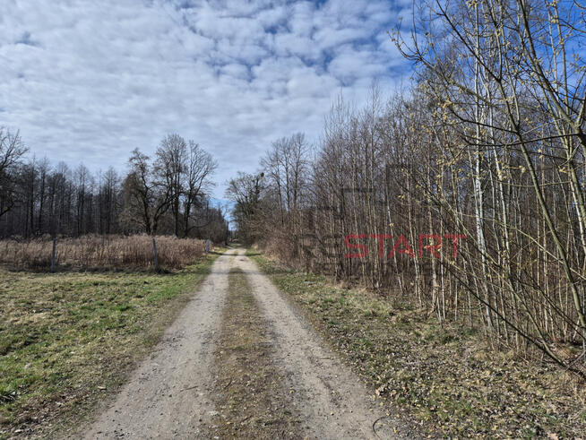 Działka budowlana Adamowizna gm. Grodzisk Mazowiecki,