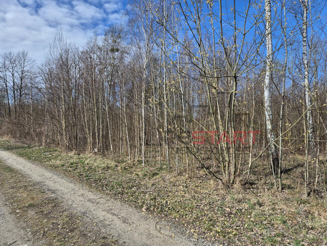 Działka budowlana Adamowizna gm. Grodzisk Mazowiecki,