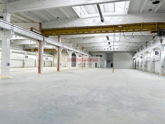 HALA produkcyjna 2950m2 OLKUSZ
