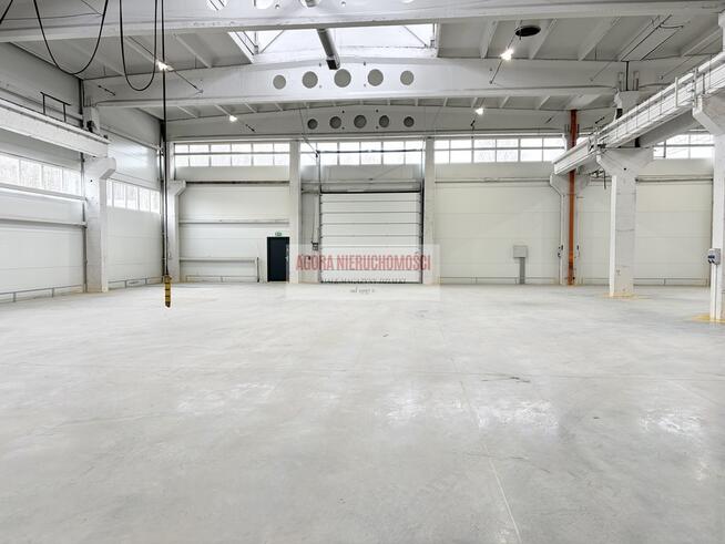 HALA produkcyjna 2950m2 OLKUSZ
