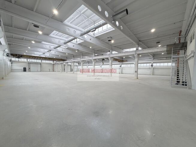 HALA produkcyjna 2950m2 OLKUSZ