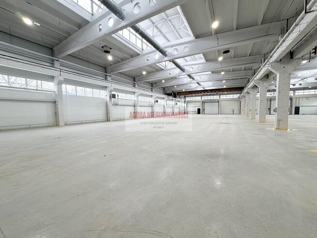 HALA produkcyjna 2950m2 OLKUSZ