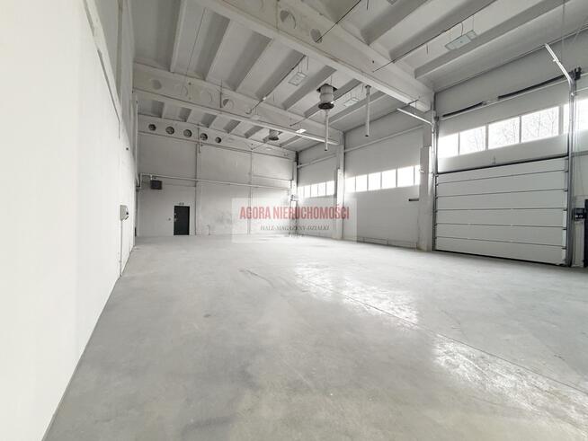HALA produkcyjna 2950m2 OLKUSZ