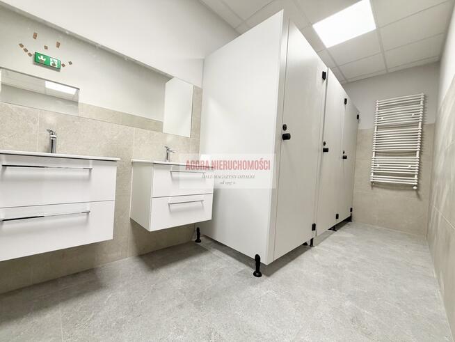 HALA produkcyjna 2950m2 OLKUSZ