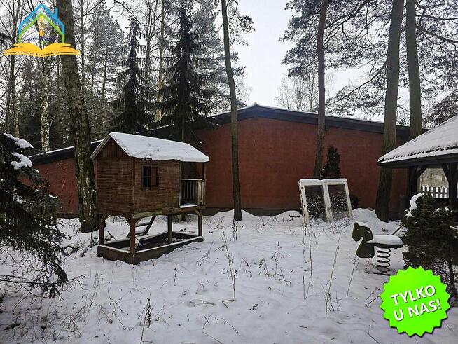 Działka leśna Kopana gm. Tarczyn