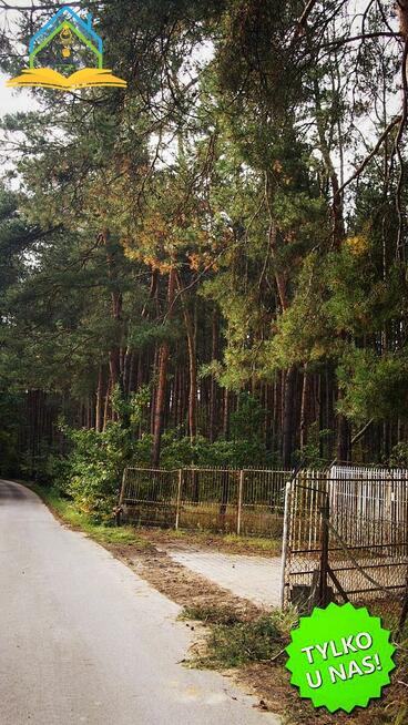 Działka leśna Kopana gm. Tarczyn