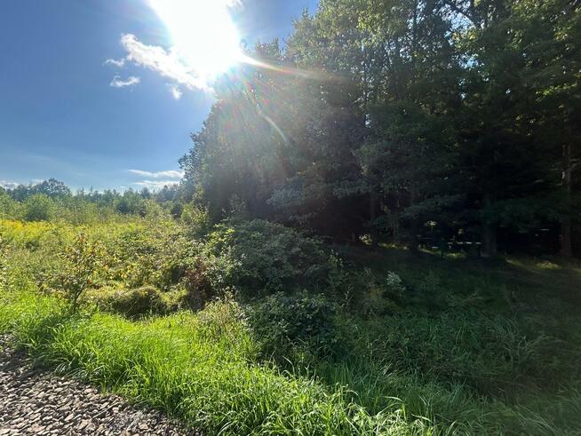 Działka siedliskowa Łomnica gm. Mysłakowice, Karpnicka