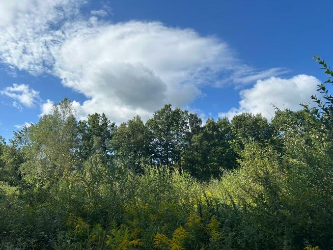 Działka siedliskowa Łomnica gm. Mysłakowice, Karpnicka