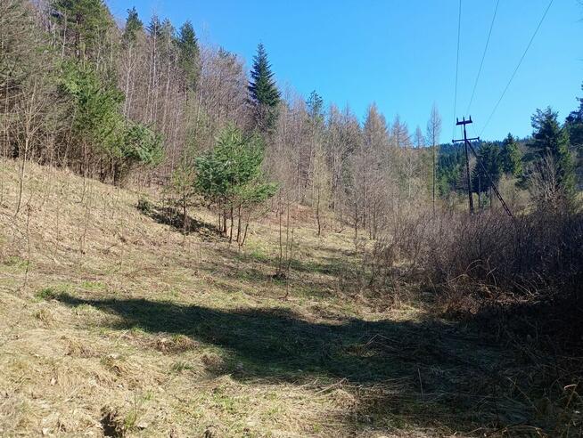 Urokliwe ustronie w górach blisko Krakowa, z dobrym dojazdem