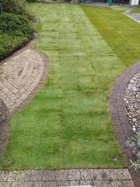 Zielony Trawnik – Zakładanie Trawników | Łódź i okolice