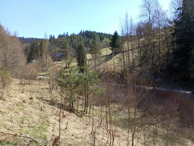 Urokliwe ustronie w górach blisko Krakowa, z dobrym dojazdem