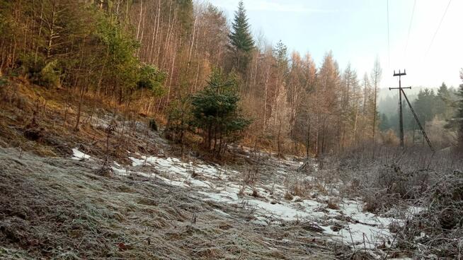 Urokliwe ustronie w górach blisko Krakowa, z dobrym dojazdem