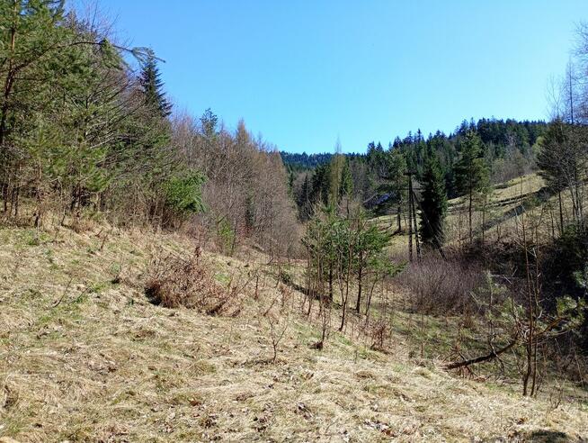Urokliwe ustronie w górach blisko Krakowa, z dobrym dojazdem