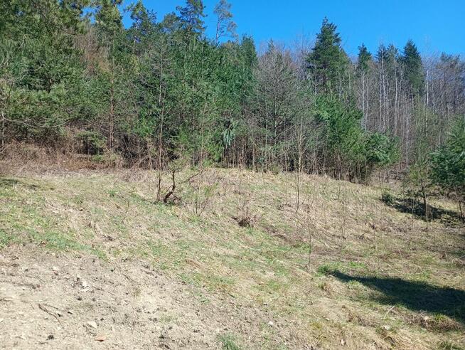 Urokliwe ustronie w górach blisko Krakowa, z dobrym dojazdem