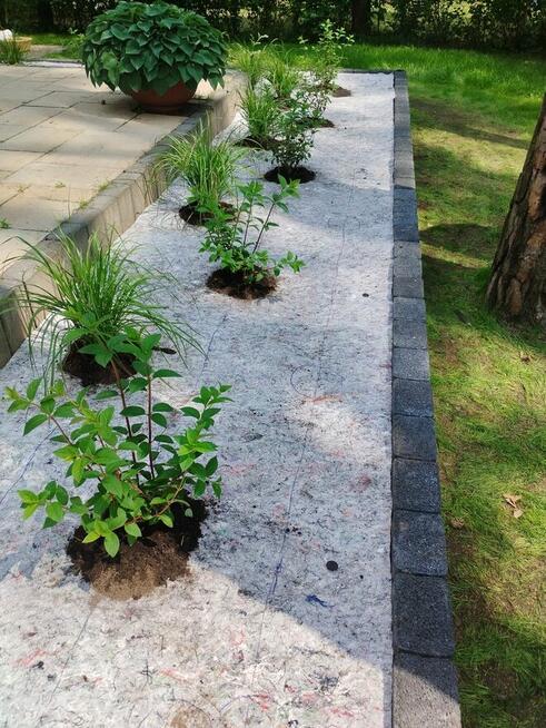 Zielony Trawnik – Zakładanie Trawników | Łódź i okolice