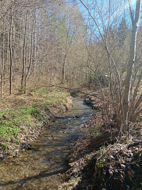 Urokliwe ustronie w górach blisko Krakowa, z dobrym dojazdem