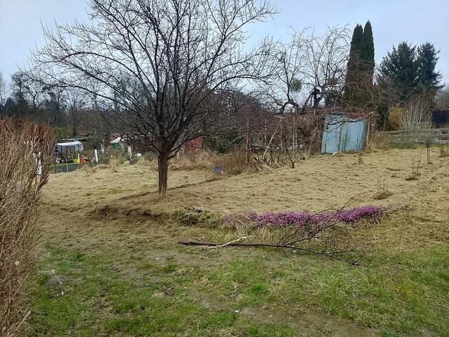 Sprzedam działkę ROD OKAZJA 13 Pułku w Elblągu