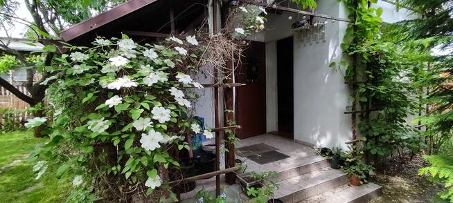 Działka ROD Relaks Umultowo