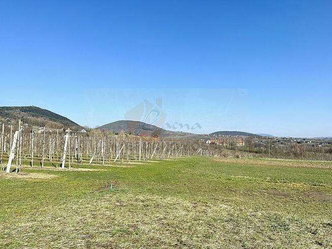 POLECAMY! 128D Łukowica gmina Łukowica powiat. limanowski, d