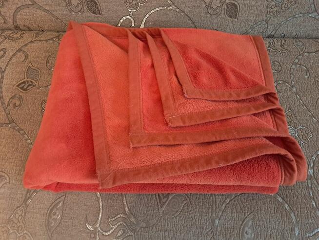 Koc pomarańczowy, do sprzedania