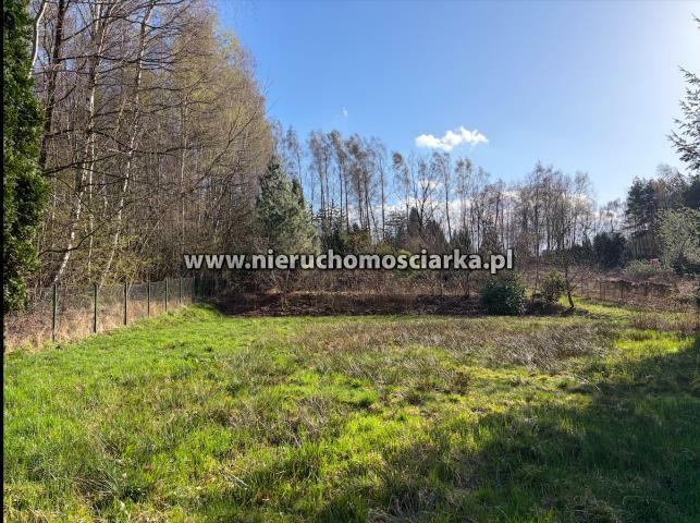 Działka rolno-budowlana Wodzisław Śląski