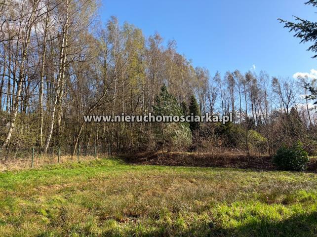 Działka rolno-budowlana Wodzisław Śląski