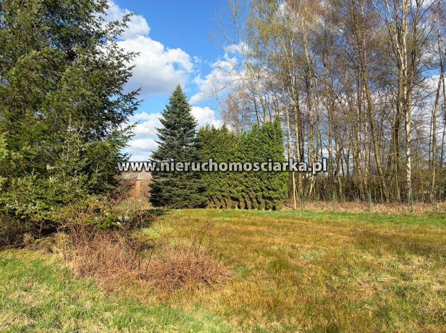 Działka rolno-budowlana Wodzisław Śląski