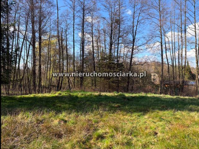 Działka rolno-budowlana Wodzisław Śląski