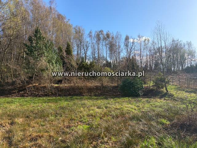 Działka rolno-budowlana Wodzisław Śląski