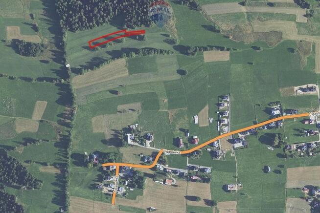 DZIAŁKA ROLNA - SPRZEDAŻ- ZĄB (LIGASÓWKA)
