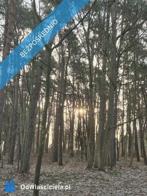 Mieszkanie 62m2 plaża jezioro las jasne