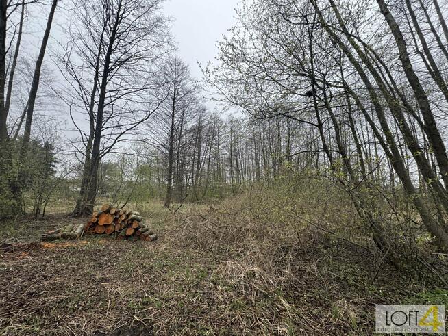 Działka budowlana Tarnów, Agrestowa