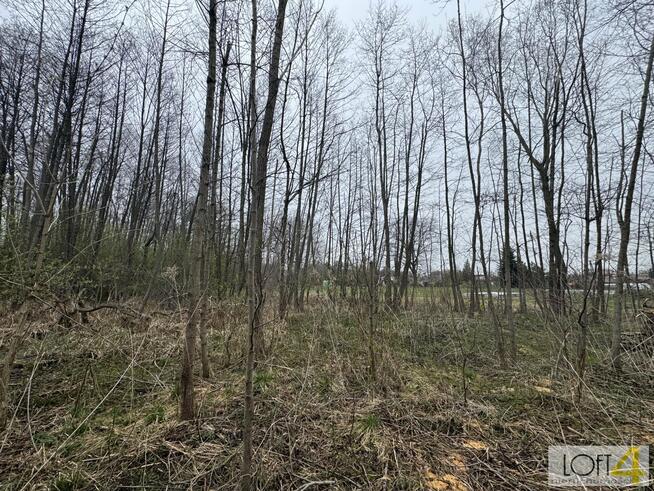 Działka budowlana Tarnów, Agrestowa