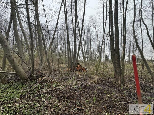 Działka budowlana Tarnów, Agrestowa
