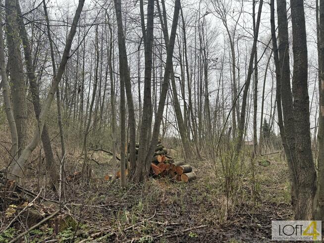 Działka budowlana Tarnów, Agrestowa