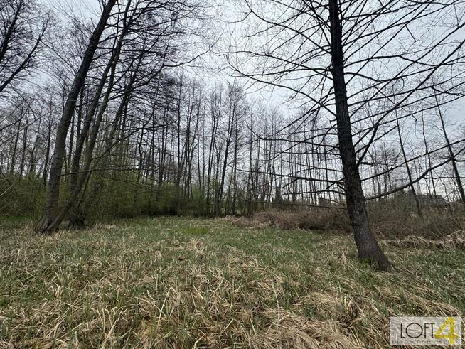 Działka budowlana Tarnów, Agrestowa