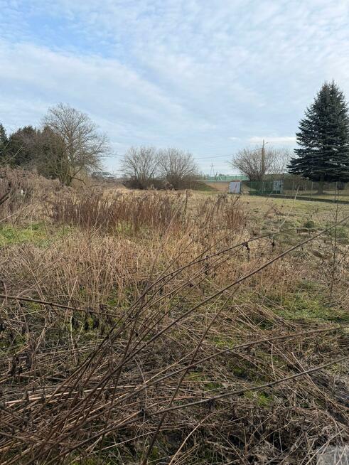 Działka budowlana gm. Chełm Śląski, Chełmska