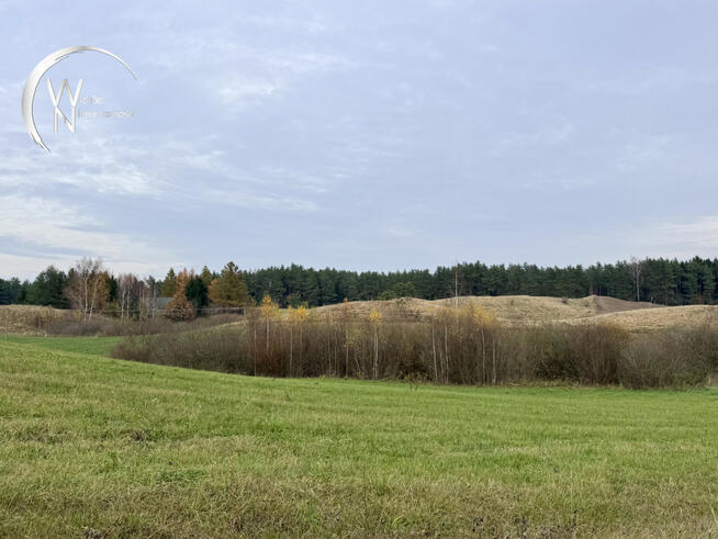 Działka rolna Wodziłki gm. Jeleniewo,
