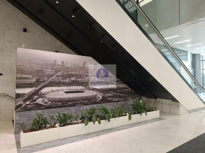 Lokal użytkowy Warszawa Śródmieście, al. Solidarności