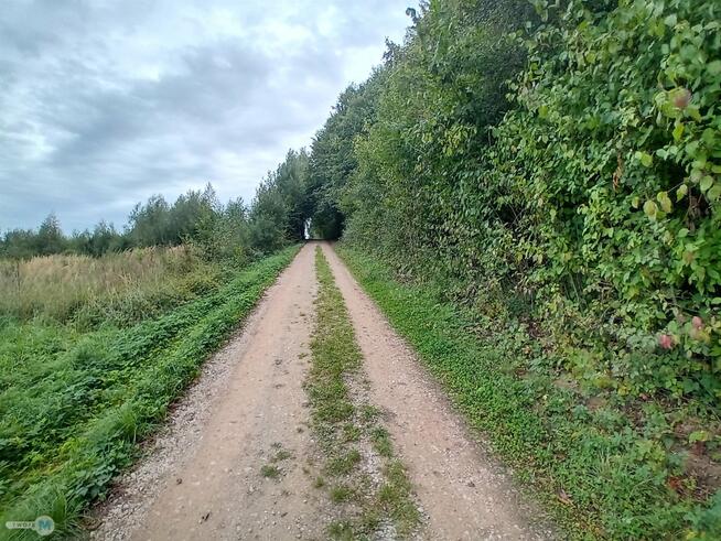 Działka budowlana Morawica Wola Morawicka