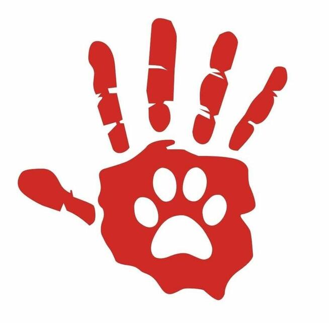 WSPÓŁPRACA Z FUNDACJĄ KOORDYNATOR OKRĘGOWY Z AUTEM OSOBOWYM