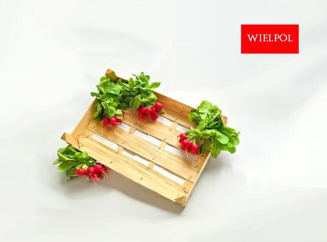 Opakowania do rzodkiewki / Skrzynki do rzodkiewki