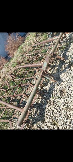 Brony 3ki grudziadz do c330