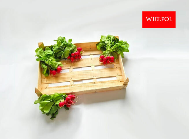 Opakowania do rzodkiewki / Skrzynki do rzodkiewki