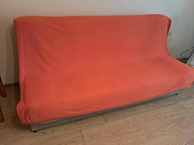 Koc pomarańczowy, do sprzedania