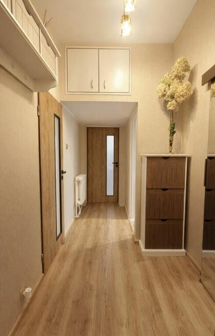 Niska cena, wielka okazja!