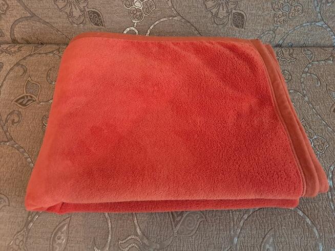 Koc pomarańczowy, do sprzedania